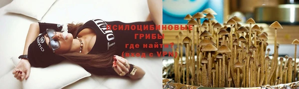 круглые Абаза