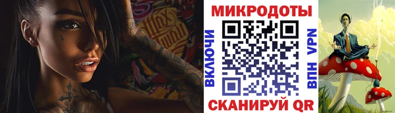 OMG вход Почеп Псилоцибиновые грибы Magic Shrooms