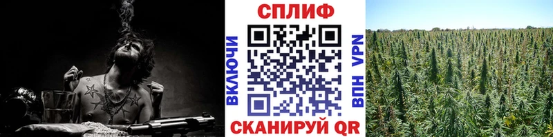Шишки марихуана THC 21%  мега ссылки  Почеп 